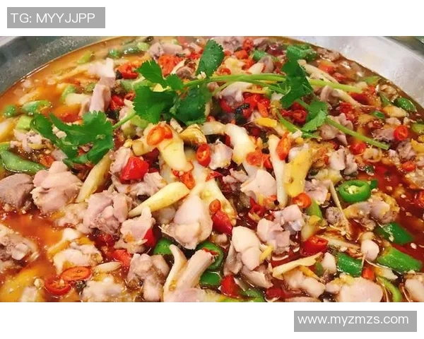 昭平姚明汉的历史传承与文化影响探讨