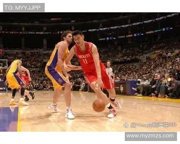 浙江姚明龙：篮球巨星的成长之路与未来发展展望